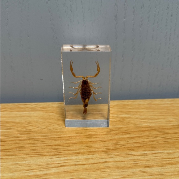 Scorpion Paperweight 🦂 - Picture 2 of 15